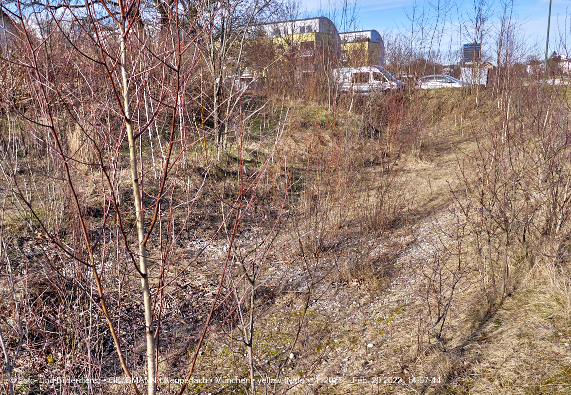 20.20.2023 - der 'verschwundene' Hachinger Bach in Berg am Laim